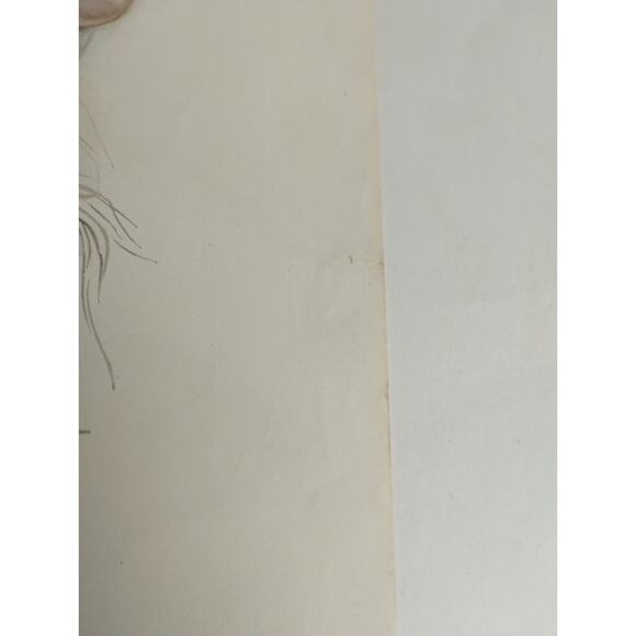 Harrison Fisher Girl in WHITE SCARF 1909 Antique Art Deco Print - Picture 6 of 7